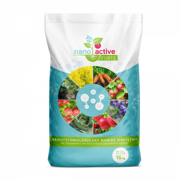 Nanotechnologia 2 FruitAkademia - nano active forte
