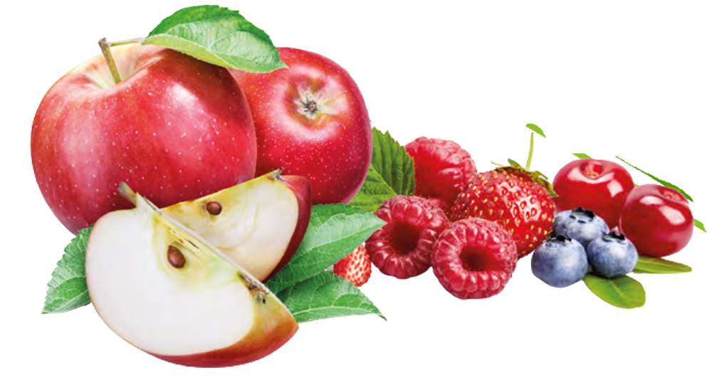 FruitAkademia - owoce