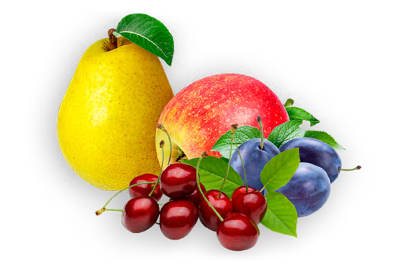 FruitAkademia - owoce1 5