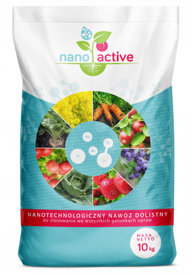 Nanotechnologia 1 FruitAkademia - NanoActive e1659083399111