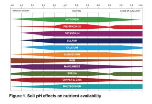 FruitAkademia - Zakres pobieranie skladnikow pokarmowych w danym pH